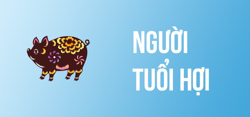 tử vi tuổi hợi 2020