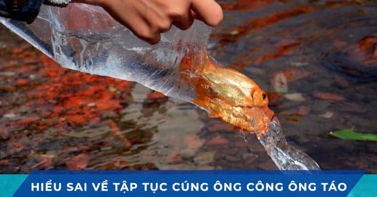 hieu sai tap tuc cung ong cong ong tao