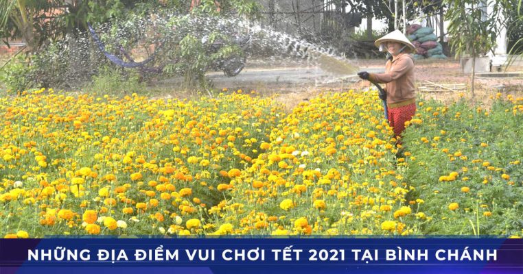 vui choi tet tan suu 2021 binh chanh
