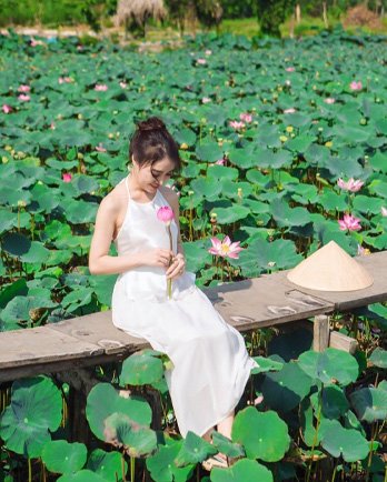 chup hinh tet ho sen tam da 2021