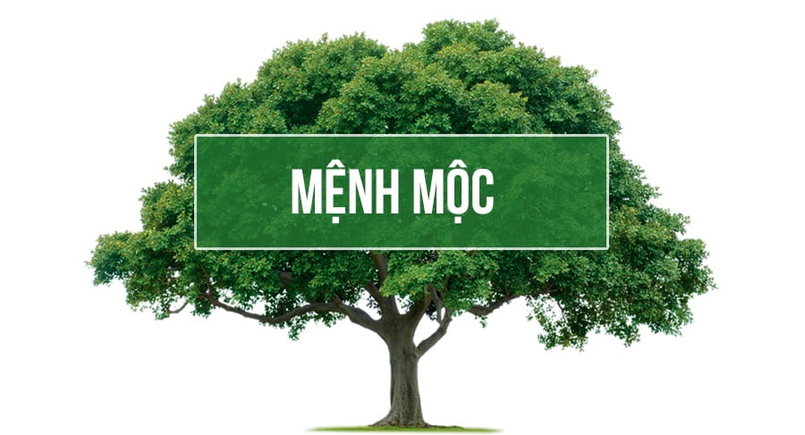 Phong thủy phòng khách người mệnh Mộc