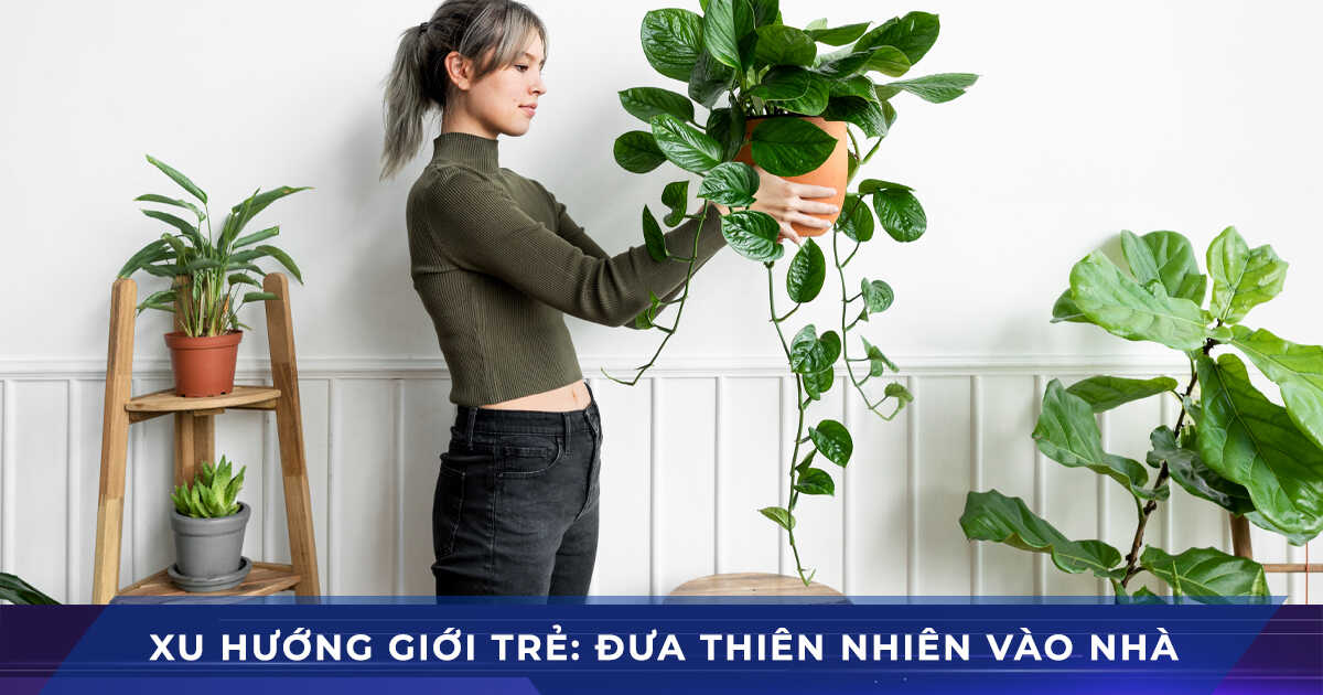 Đưa thiên nhiên vào nhà